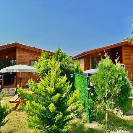 Hurmalik Apart Evleri-Very Close To The Sea Large Garden Bungalow With Barbecue And Swing Karaoz 외부 사진