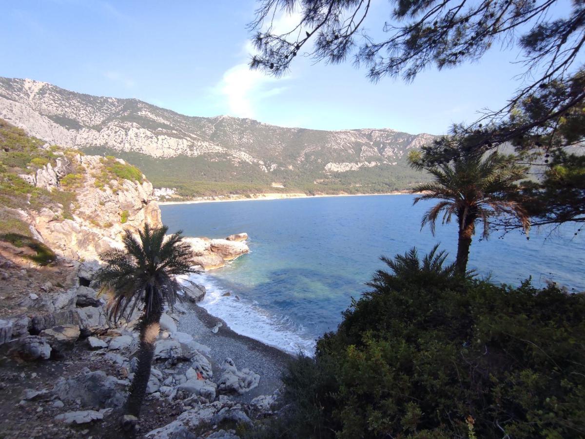 Hurmalik Apart Evleri-Very Close To The Sea Large Garden Bungalow With Barbecue And Swing Karaoz 외부 사진