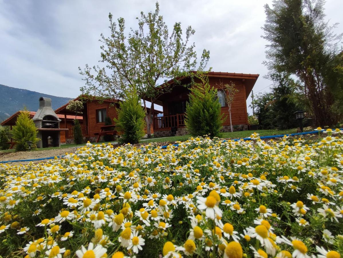 Hurmalik Apart Evleri-Very Close To The Sea Large Garden Bungalow With Barbecue And Swing Karaoz 외부 사진